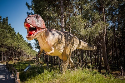 Top family-friendly destinations near Lisbon (within 1h30 by car)